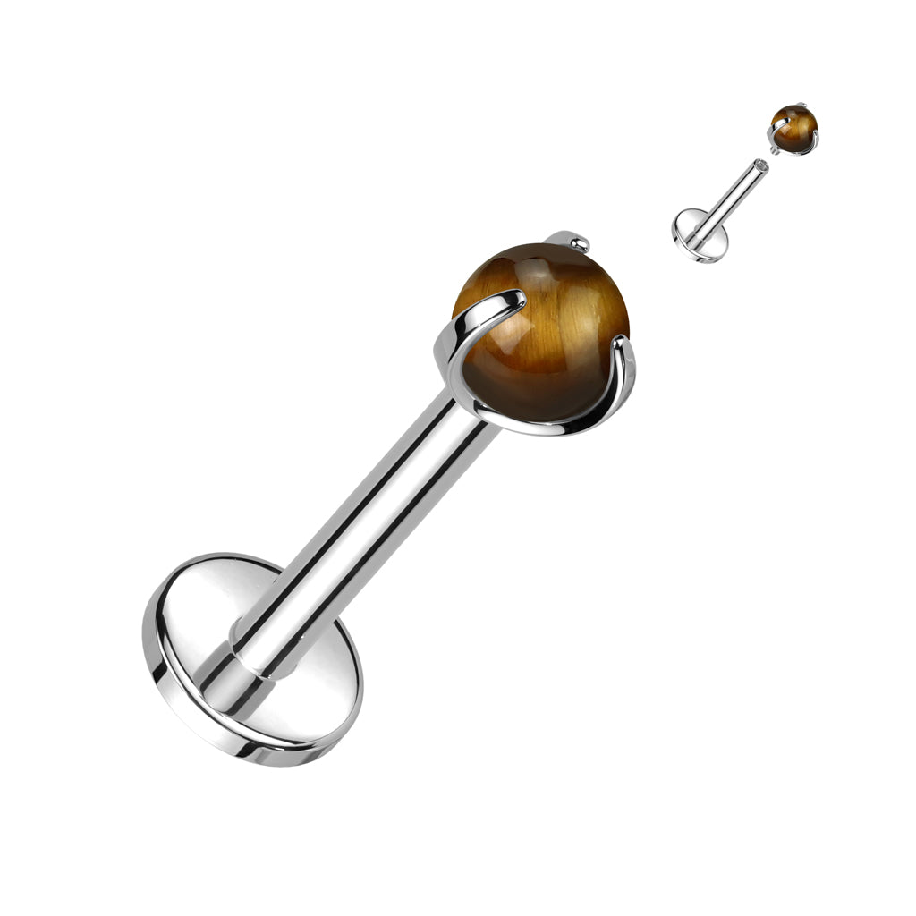 Implant Grade Titanium Internally Threaded Claw Set Natural Stone Top